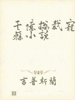 千亿总裁宠妻成瘾小说