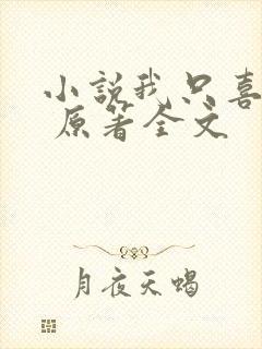 小说我只喜欢你 原著全文封面