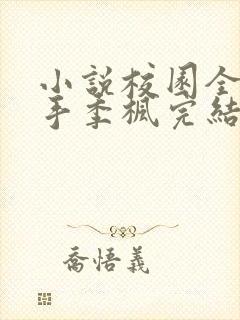 小说校园全能高手季枫完结版封面