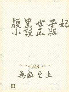 腹黑世子妃日常小说正版