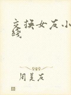交换女友小说在线