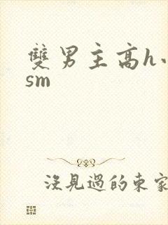 双男主高h小说sm