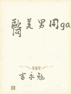 欧美男同gay网