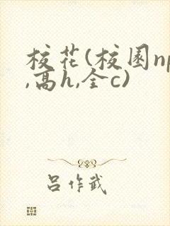 校花(校园np,高h,全c)封面