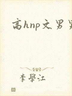 高hnp文男男