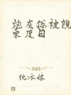 炮灰总被觊觎 东度日封面