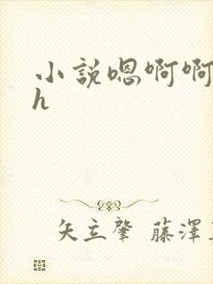 小说嗯啊啊唔高h封面