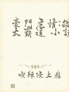 豪门危情:总裁太霸道 小说