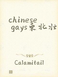 chinese gays东北壮男打桩机