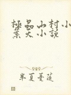 极品山村小神农叶天小说