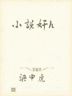 小说奸h