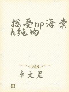 总受np海棠高h纯肉封面