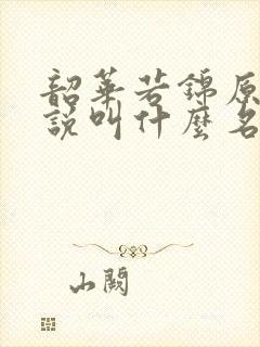 韶华若锦原著小说叫什么名字