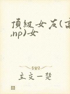 顶级女友(高h,np)女