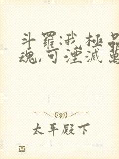 斗罗:我极品武魂,可湮灭万物封面