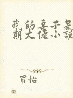 我的妻子是大乘期大佬小说完整版本