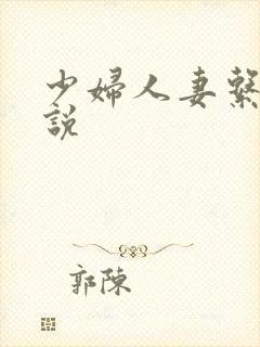 少妇人妻系列小说