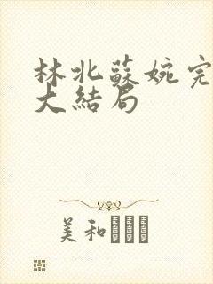 林北苏婉完整版大结局
