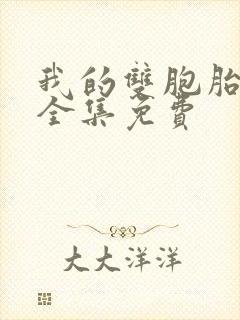 我的双胞胎老婆全集免费