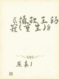 《摄政王的心头宠(重生)》