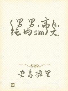 (男男,高h,纯肉sm)文