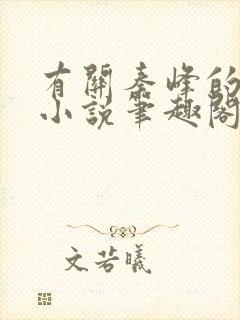有关秦峰的官场小说笔趣阁封面