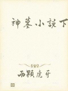 神墓小说下载