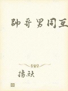 帅哥男同互操