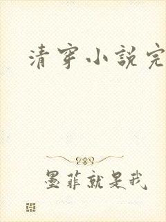 清穿小说完结