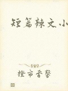 短篇辣文小说
