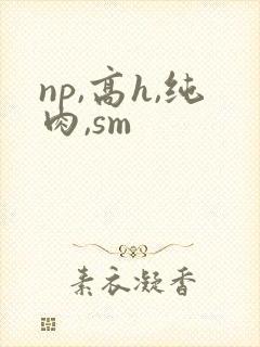 np,高h,纯肉,sm