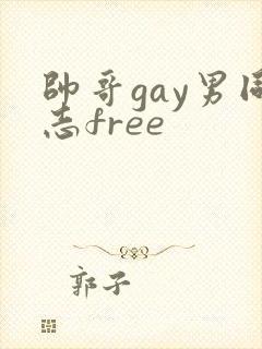 帅哥gay男同志free