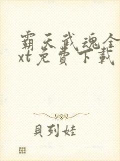 霸天武魂全本txt免费下载