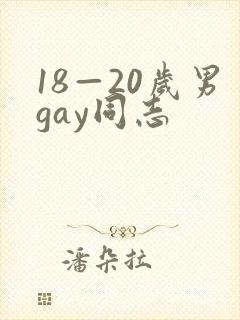 18—20岁男gay同志封面