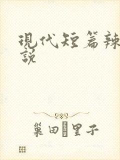 现代短篇辣文小说