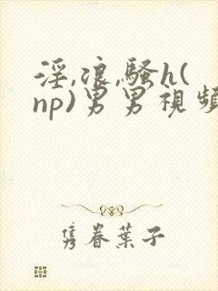 淫,浪,骚h(np)男男视频