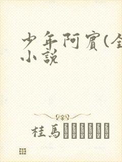 少年阿宾(全)小说