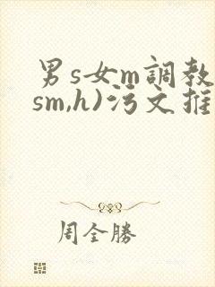 男s女m调教(sm,h)污文推荐
