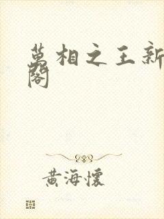 万相之王新笔趣阁