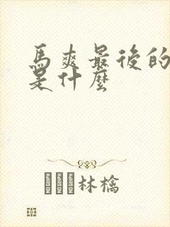 马爽最后的结局是什么