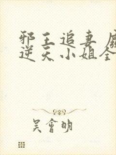 邪王追妻 废材逆天小姐全文阅读