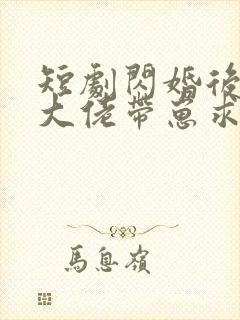 短剧闪婚后禁欲大佬带崽求名分