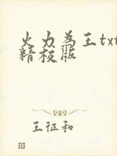 火力为王txt精校版