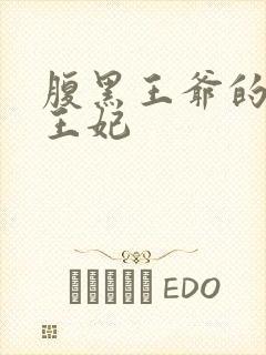 腹黑王爷的替嫁王妃