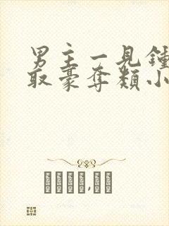 男主一见钟情强取豪夺类小说