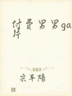 付费男男gay片