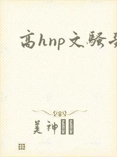 高hnp文骚受