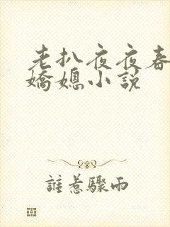 老扒夜夜春宵伴娇媳小说