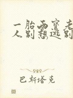 一胎两宝老婆大人别想逃别想封面