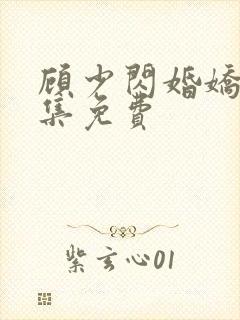 顾少闪婚娇妻全集免费封面